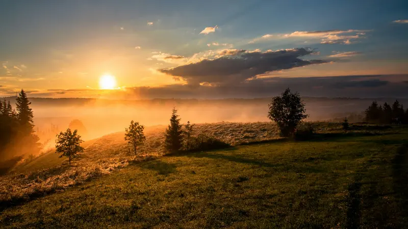 Golden sunrise over a peaceful green meadow
